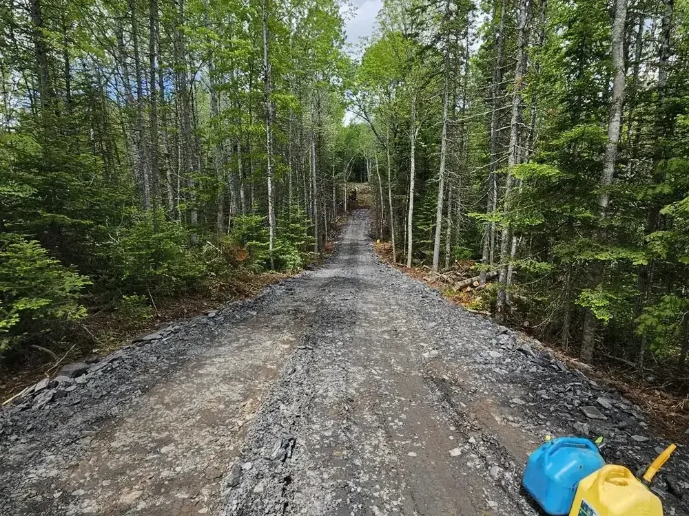 A fresh gravel driveway carved by Wildawbren through mature Nova Scotia forest, stretching into the distance under a moody spring sky